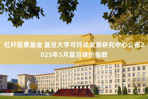 杠杆股票基金 复旦大学可持续发展研究中心公布2025年5月复旦碳价指数