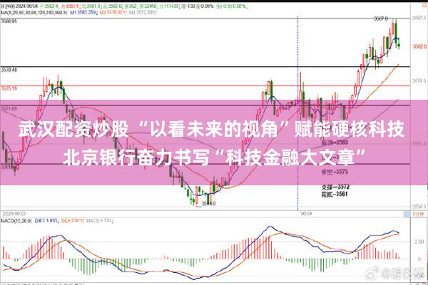 武汉配资炒股 “以看未来的视角”赋能硬核科技 北京银行奋力书写“科技金融大文章”