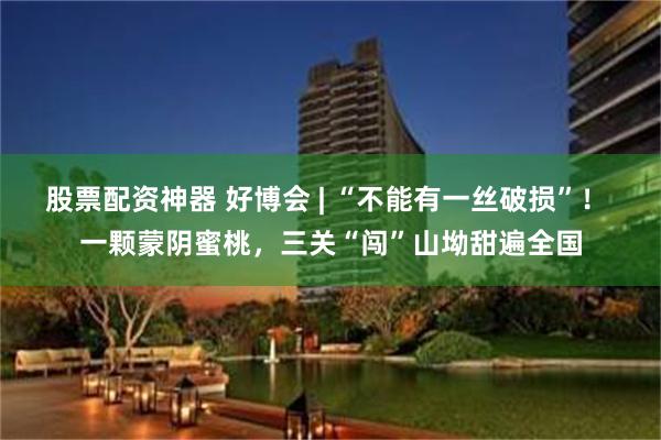 股票配资神器 好博会 | “不能有一丝破损”！ 一颗蒙阴蜜桃，三关“闯”山坳甜遍全国