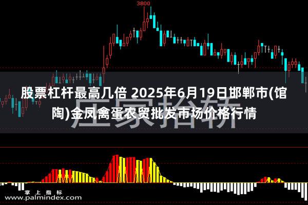 股票杠杆最高几倍 2025年6月19日邯郸市(馆陶)金凤禽蛋农贸批发市场价格行情