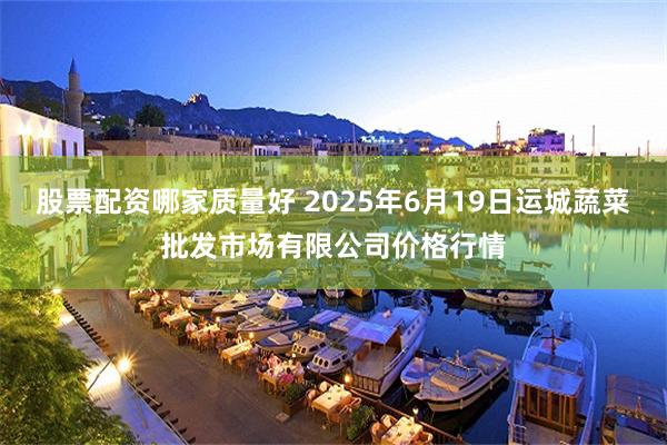 股票配资哪家质量好 2025年6月19日运城蔬菜批发市场有限公司价格行情