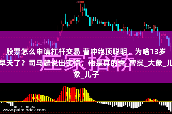 股票怎么申请杠杆交易 曹冲绝顶聪明，为啥13岁便早夭了？司马懿说出实情，他是真的蠢_曹操_大象_儿子