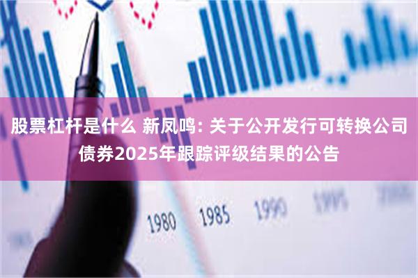 股票杠杆是什么 新凤鸣: 关于公开发行可转换公司债券2025年跟踪评级结果的公告