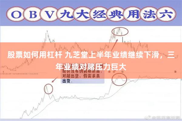 股票如何用杠杆 九芝堂上半年业绩继续下滑，三年业绩对赌压力巨大