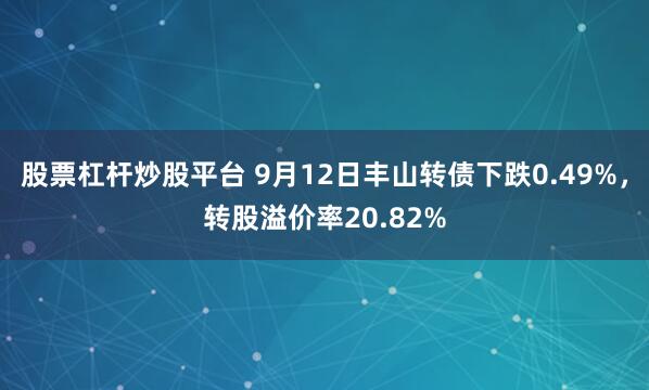 股票杠杆炒股平台 9月12日丰山转债下跌0.49%，转股溢价率20.82%