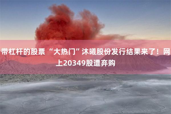 带杠杆的股票 “大热门”沐曦股份发行结果来了！网上20349股遭弃购